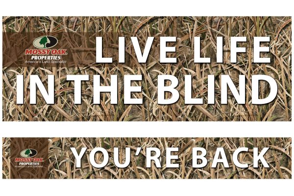 Live Life in the Blind /  You're Back Combo Set (MOP - 18") - Image 5